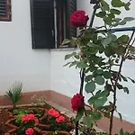 Appartement Devcic Poreč