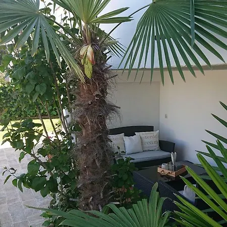 Devcic * פורץ