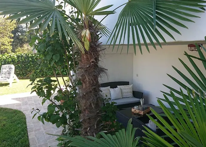 Devcic * Πόρετς